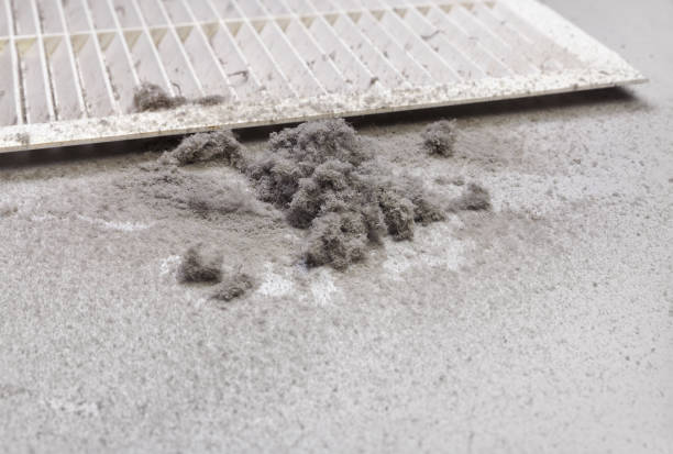 Best Ductwork Cleaning Services  in Nashua, IA
